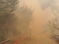 Σταμάτα: Η φωτιά έφτασε στα σπίτια- Κάτο...