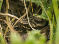 Σύρος: Σε σοβαρή κατάσταση νοσηλεύεται 1...