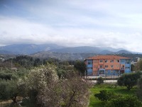 Φωτιά στα Συχαινά της Πάτρας - ΦΩΤΟ