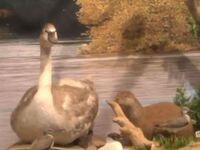 Ξενάγηση στο μουσείο φυσικής ιστορίας των Σερρών 