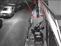 Βοτανικός: Στη φυλακή ο 33χρονος που σκότωσε γάτες