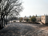 Φωτιά στην Πάτρα: Μυστήριο με τα κίνητρα...