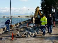 Σε κατάσταση έκτακτης ανάγκης οι παραλια...