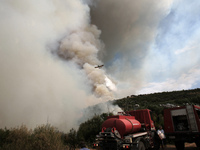 Πολύ υψηλός κίνδυνος πυρκαγιάς στη Δυτικ...