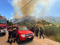 Αχαΐα: Φωτιά στις Νεραντζιές Αιγίου - Ήχ...