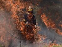 Φωτιά στην Αττική: Εκτός ελέγχου η πυρκα...