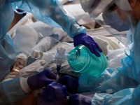 Εξαρθρώθηκε κύκλωμα που έκανε εμπορία αν...