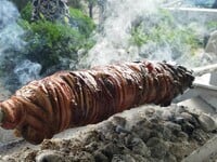 Πάτρα: Τι γίνεται με τα… γαρδουμπάκια το...