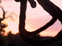 Τραγωδία στον Θύαμο Βάλτου Αιτωλοακαρναν...