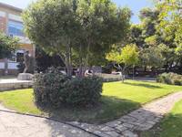 To Πανεπιστήμιο της Πάτρας, ο μεγαλύτερο...