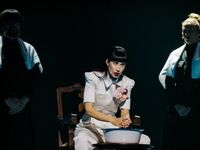 Χαμό και ποικίλα σχόλια έχει προξενήσει ...