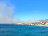 Κρήτη: Μεγάλη φωτιά στην Ιεράπετρα, πνέο...