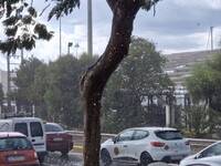 Το Φθινόπωρο ήρθε στην Πάτρα- Ξαφνικά, β...