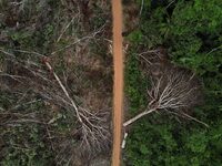 Κυρώσεις ετοιμάζουν οι ΗΠΑ για την παράν...