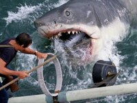 Τα σαγόνια του καρχαρία: Σε επανέκδοση η...