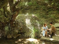 Άγριες Μέλισσες: Η αγαπημένη σειρά θα επ...