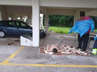 Ωρωπός: Τι λένε οι διασώστες που έπλυναν...