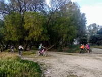 Οι Πατρινοί χάρηκαν ελεύθερα το Νότιο Πά...