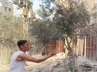 Με πλοία και λιμάνια η συνδρομή της Ελλά...