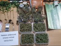 Ηλεία: Τον τσάκωσαν με 450 γραμμάρια κάνναβης