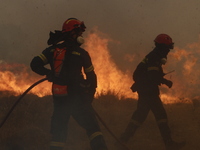 Φωτιά στην Πάρνηθα: Εκκενώνονται οι οικι...