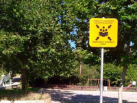 Κι αν μια έκτακτη ανάγκη «χτυπήσει» την ...