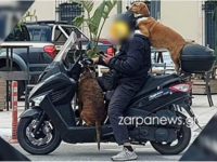 Κρήτη: Πρόστιμο 1.500 ευρώ σε οδηγό για ...