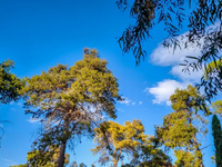 Καιρός: Έρχονται 30άρια Κυριακή και Δευτ...