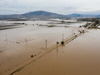Κακοκαιρία Daniel - Σιούτας: «Έπεσαν 750...