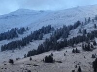 Καλάβρυτα: Τα χιόνια έφεραν κόσμο στο Χι...