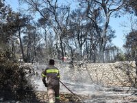 Φωτιά στη Ζήρια: Καλύτερη η εικόνα - Ξεκ...
