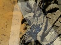 Επίθεση με βιτριόλι: Εικόνες από τα λιωμ...