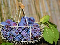 Ποιο φρούτο προλαμβάνει την οστεοπόρωση