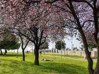 Καιρός: Μετά τα 30άρια του Σαββατοκύριακ...