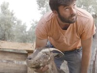 Η καταστροφή ενός βοσκού στην Εύβοια: «Τ...