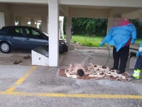 Εικόνες ντροπής στον Ωρωπό: Νοσηλευτές έ...