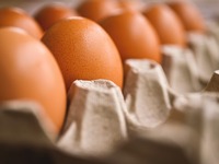 Έτσι γίνονται πιο υγιεινά τα αυγά: Το λά...