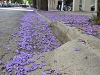 "Βάφτηκαν" μωβ, η Έλληνος Στρα...