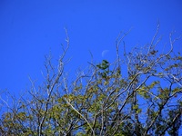 Αρναούτογλου - Καιρός: Ασυνήθιστο για τη...