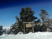 Πρώτο θέμα στις ειδήσεις τα Θεοφάνεια το...