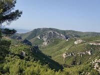 Πάρνηθα: Πώς έγινε η άγρια επίθεση στους...