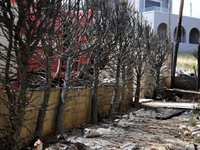 Κηρύχθηκαν σε κατάσταση Έκτακτης Ανάγκης...