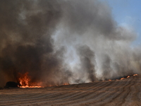 Φωτιές: Στο «κόκκινο» έξι περιφέρειες γι...