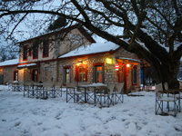 Χριστούγεννα: «Χαμός» στους δημοφιλείς π...