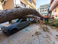 Θεσσαλονίκη: Μεγάλο δέντρο έπεσε πάνω σε...