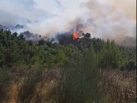 Φωτιά στον Ερύμανθο: Επιχειρούν και σήμε...