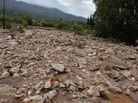 Τραγωδία στην Αιτωλοακαρνανία: Νεκρός βρ...