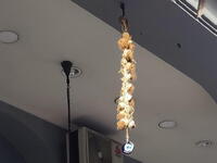 Πάτρα: Καλή είναι η ανάπτυξη, αλλά παν’ ...