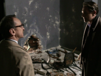 Άγριες Μέλισσες: Το μέλλον στο Διαφάνι π...