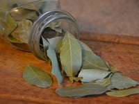 Ποιο είναι το φυτό που χρησιμοποιείται σ...